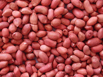 Peanuts