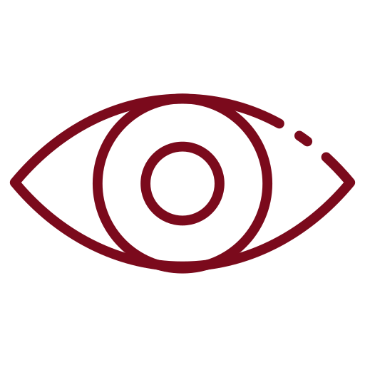 Our Vision 1